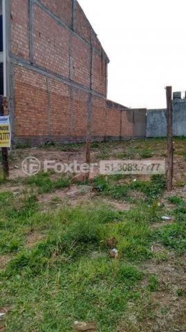 Terreno à venda em Jardim leopoldina, Porto alegre cod:150183 - Foto 4