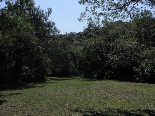 Chácara - Foto 2