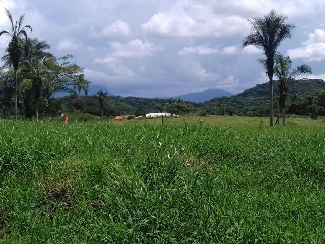 Chácara - Foto 4