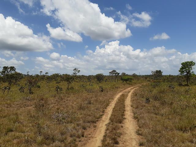 Vende-se área rural no amapá - Foto 8