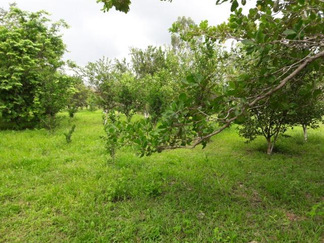 Vende-se uma chácara na beira do rio Cuiabá - Foto 10
