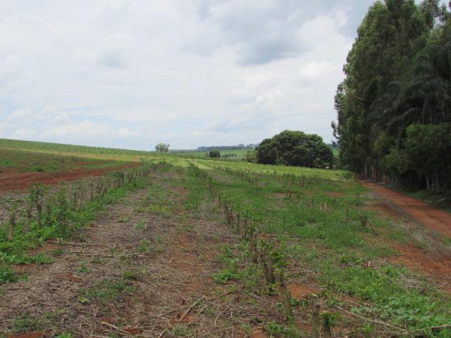 Fazenda para Venda em Alfenas, Rural - Foto 16
