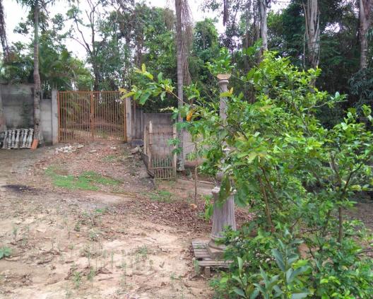 Sítio à venda em Jardim serra azul, Juatuba cod:ST00028 - Foto 6