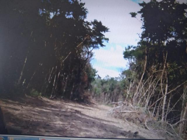 Lotes de 500 m2 em Esmeraldas/MG comunidade "Bambus" - Foto 7