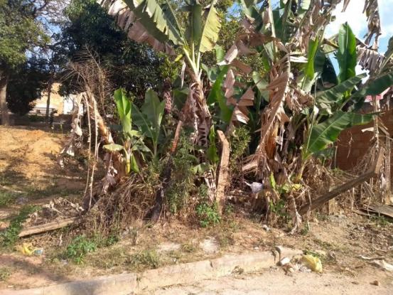 Terreno à venda em Vila maria regina, Juatuba cod:TE00013 - Foto 2