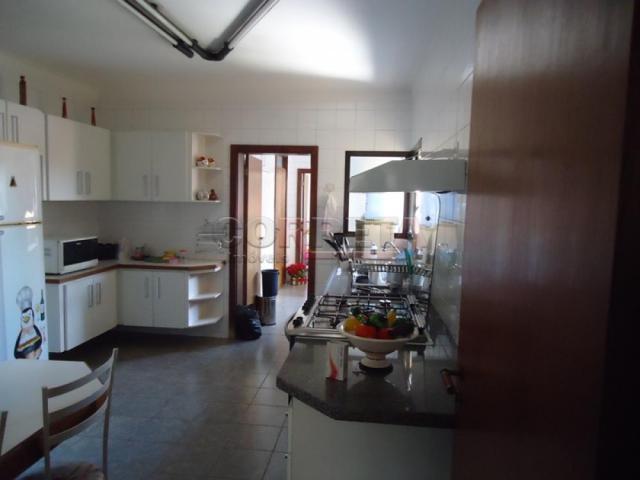 Apartamento à venda com 3 dormitórios em Higienopolis, Aracatuba cod:V6533 - Foto 9