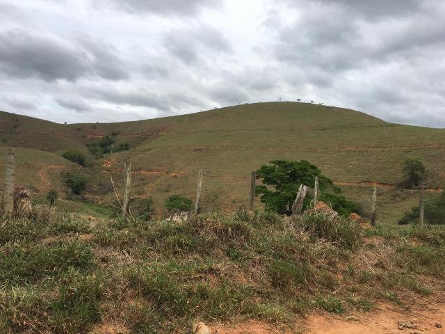 Venda-se está fazenda de 250 alqueires no Município de Fervedouro/MG - Foto 13