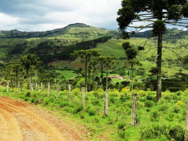 Sitio em Urubici/ área rural /chácara fazenda em Urubici 223.460 m² - Foto 8