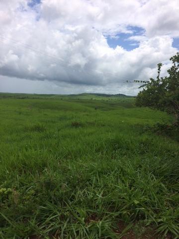 Fazenda-Granja-Sítio com 21 Hectares em Aliança - Foto 9