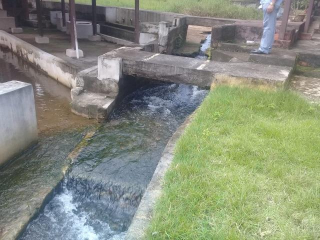 Barbada!!! Vendemos Lotes em Uma Belíssima Chacara em Benevides, Pará - Foto 2