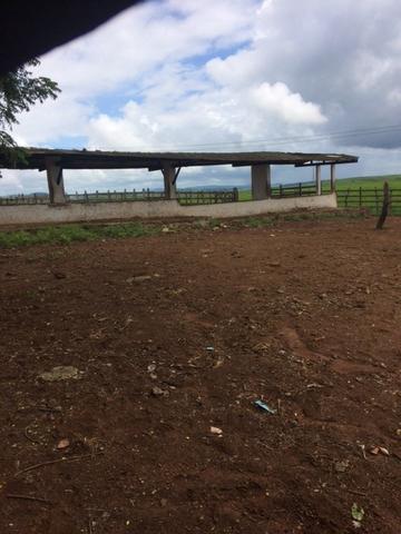 Fazenda-Granja-Sítio com 21 Hectares em Aliança - Foto 7