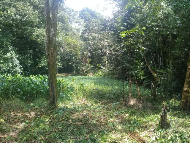 Barbada!!! Vendemos Lotes em Uma Belíssima Chacara em Benevides, Pará - Foto 8