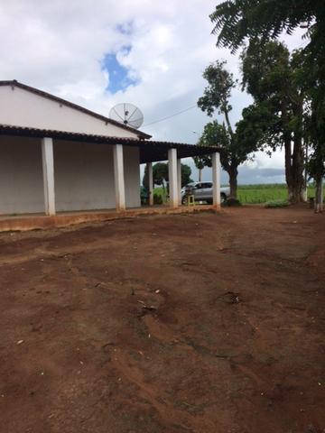 Fazenda-Granja-Sítio com 21 Hectares em Aliança - Foto 3