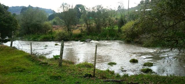 Chácara 3,0 Ha Campestre da Serra - Foto 8