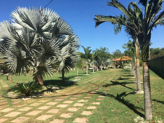 Vendo chácara em Ribamar fiquene !!!a 50k de Imperatriz - Foto 3
