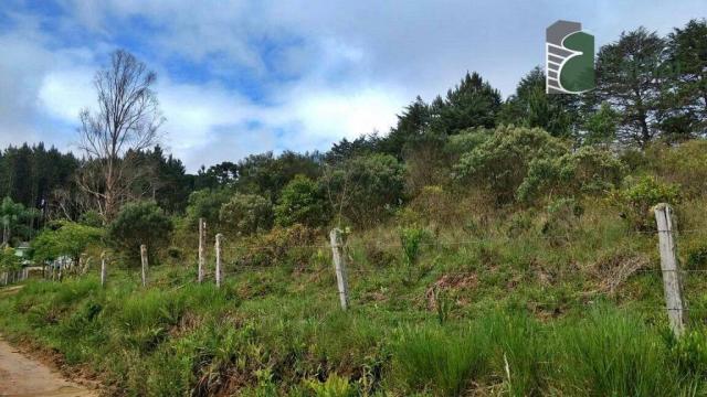 Chácara no curralinho em são josé dos pinhais. - Foto 10
