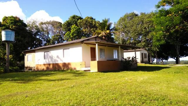 Fazenda Rov Ilhéus-Buararema - Foto 5