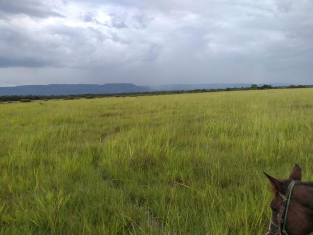 Excelente Fazenda de 1.955,79 Hectares em Formosa-GO - Foto 10