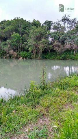 Chácara no campo largo da roseira, são josé dos pinhais. - Foto 18
