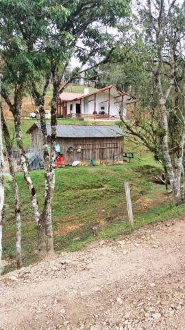 Chácara na colônia murici (são josé dos pinhais) - distrito. - Foto 4