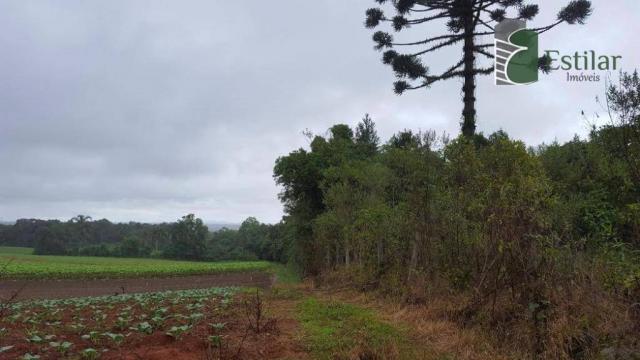 Terreno na colônia murici em são josé dos pinhais. - Foto 6