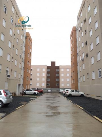 Apartamento, Estância Velha, Canoas-RS - Foto 10
