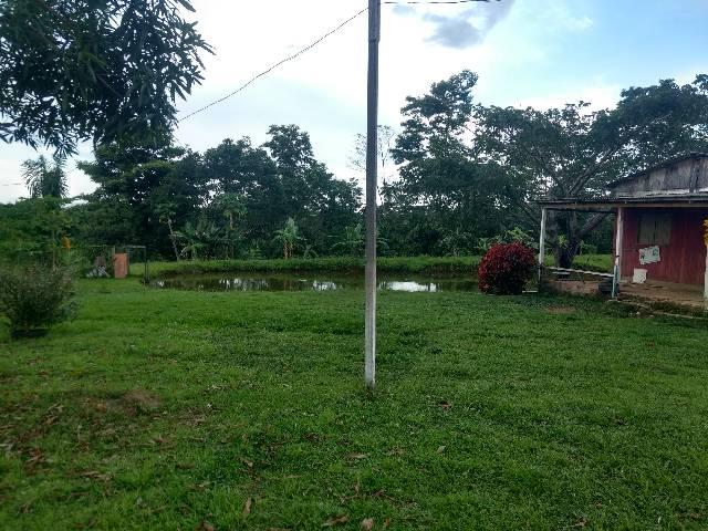Troco ou vendo chácara - Foto 3