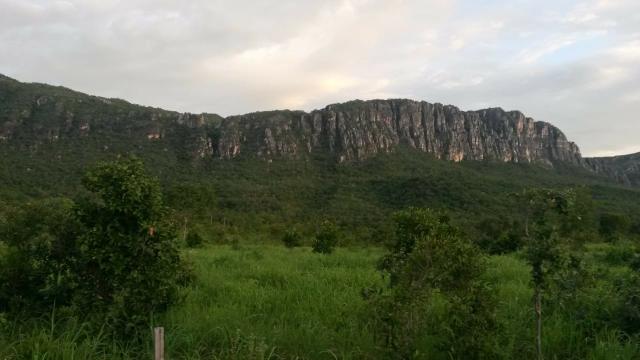 Fazenda de 300 alqueires em cavalcante go - Foto 10