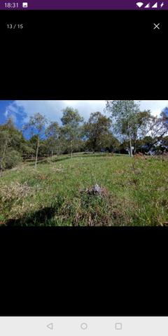 Vendo terreno a 7 kilomentro do centro de Santa Leopoldina fica e em Bragança - Foto 4