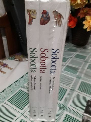 Atlas de Anatomia Humana