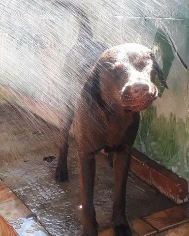 Procurasse uma namorada - Foto 4