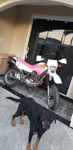 VENDO XT 600 1996 TOP