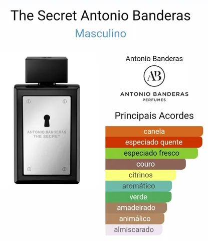 PERFUME THE SECRET  IMPORTADO 200ML VIDRAO 