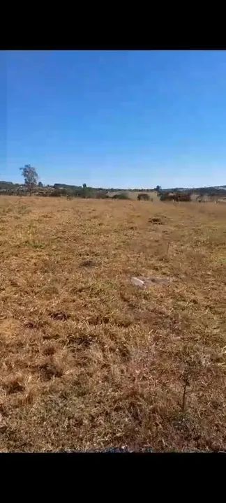 Chácara 35 km de Goiânia  - Foto 2