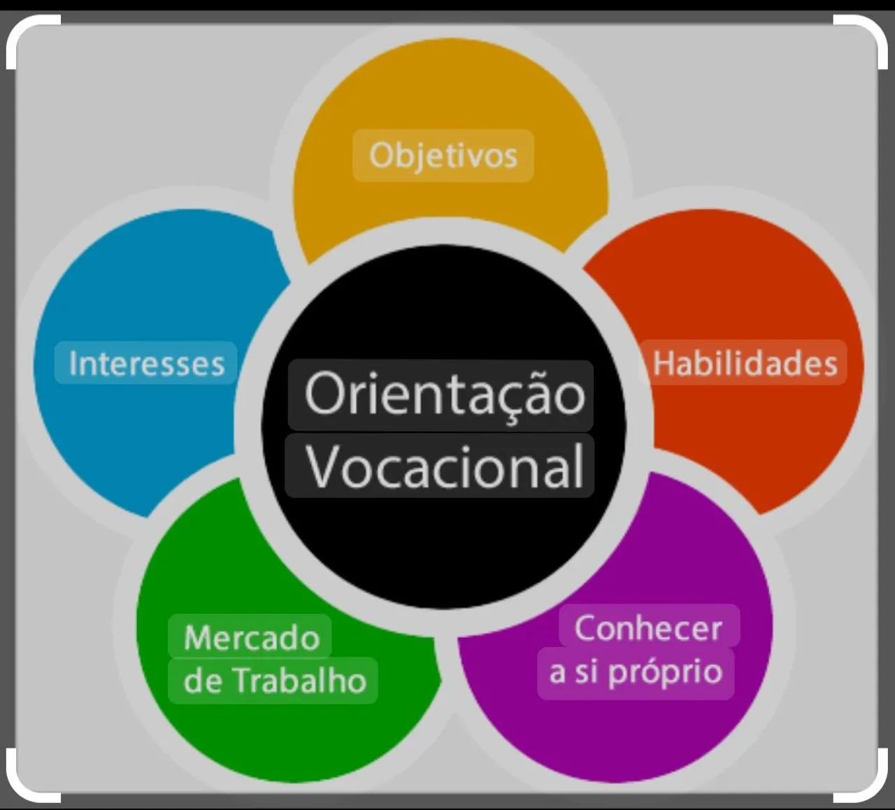 Orientação Vocacional