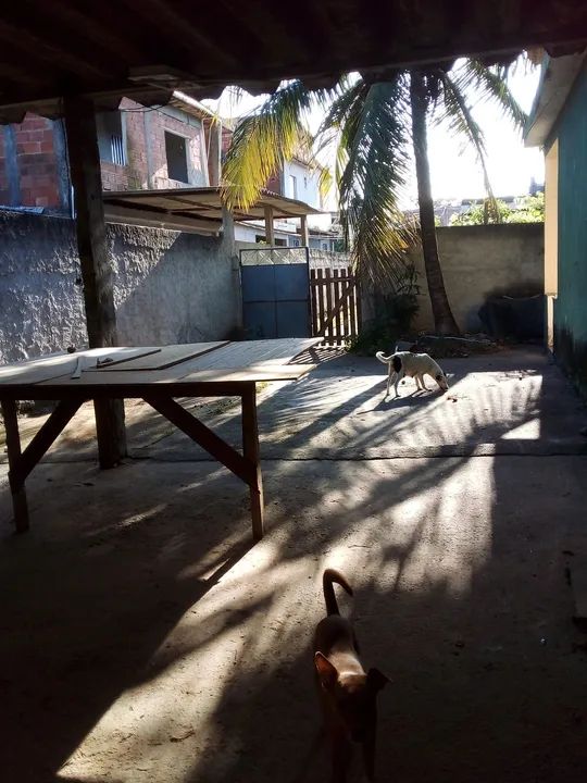 foto - Rio de Janeiro - Guaratiba