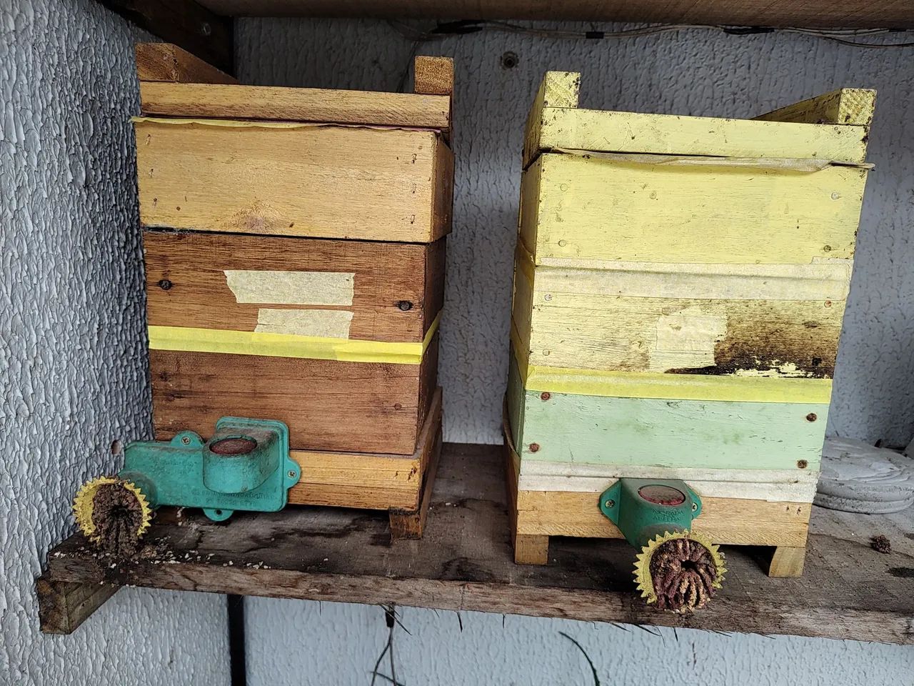 Matriz mandaçaia  - Foto 2