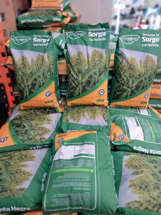 Semente de Sorgo ponta negra 10kg (Safra Nova)