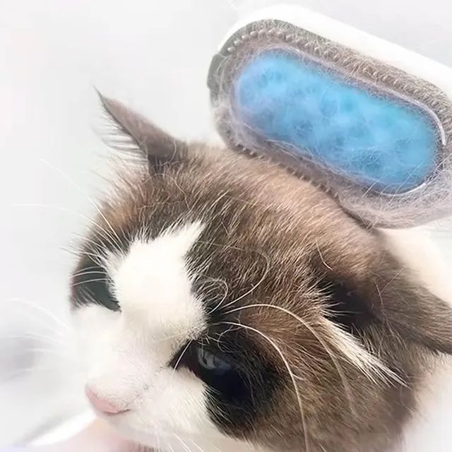 Escova Tira Pelos PET 2 modos Azul.Novo c/ Nota Fiscal - Foto 4