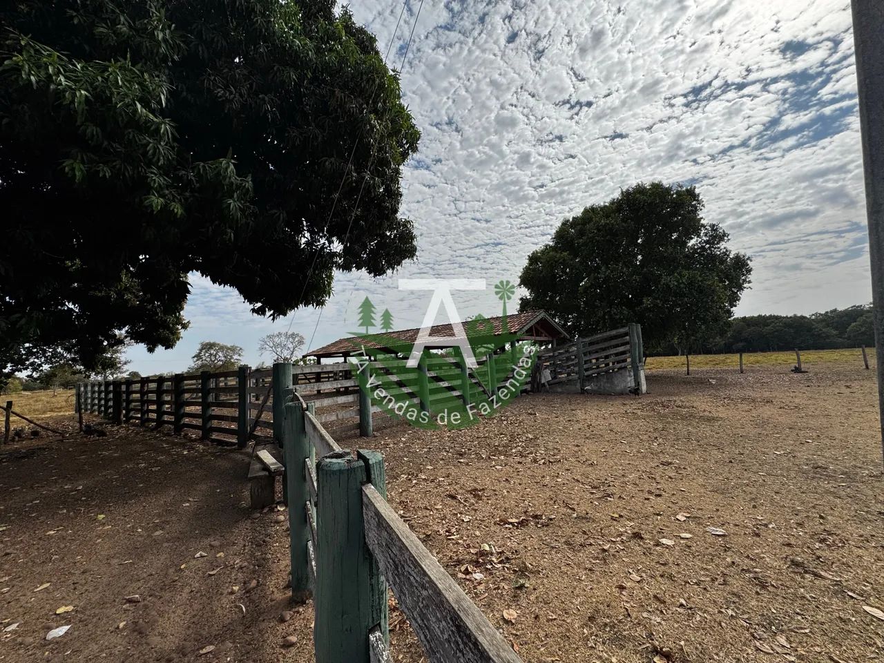 Fazenda de 29,5 alq em Matrinchã GO - Foto 4