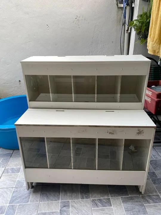 Expositor de ração  - Foto 3