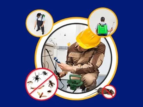 Dedetização, pra sua residência ou empresarial 