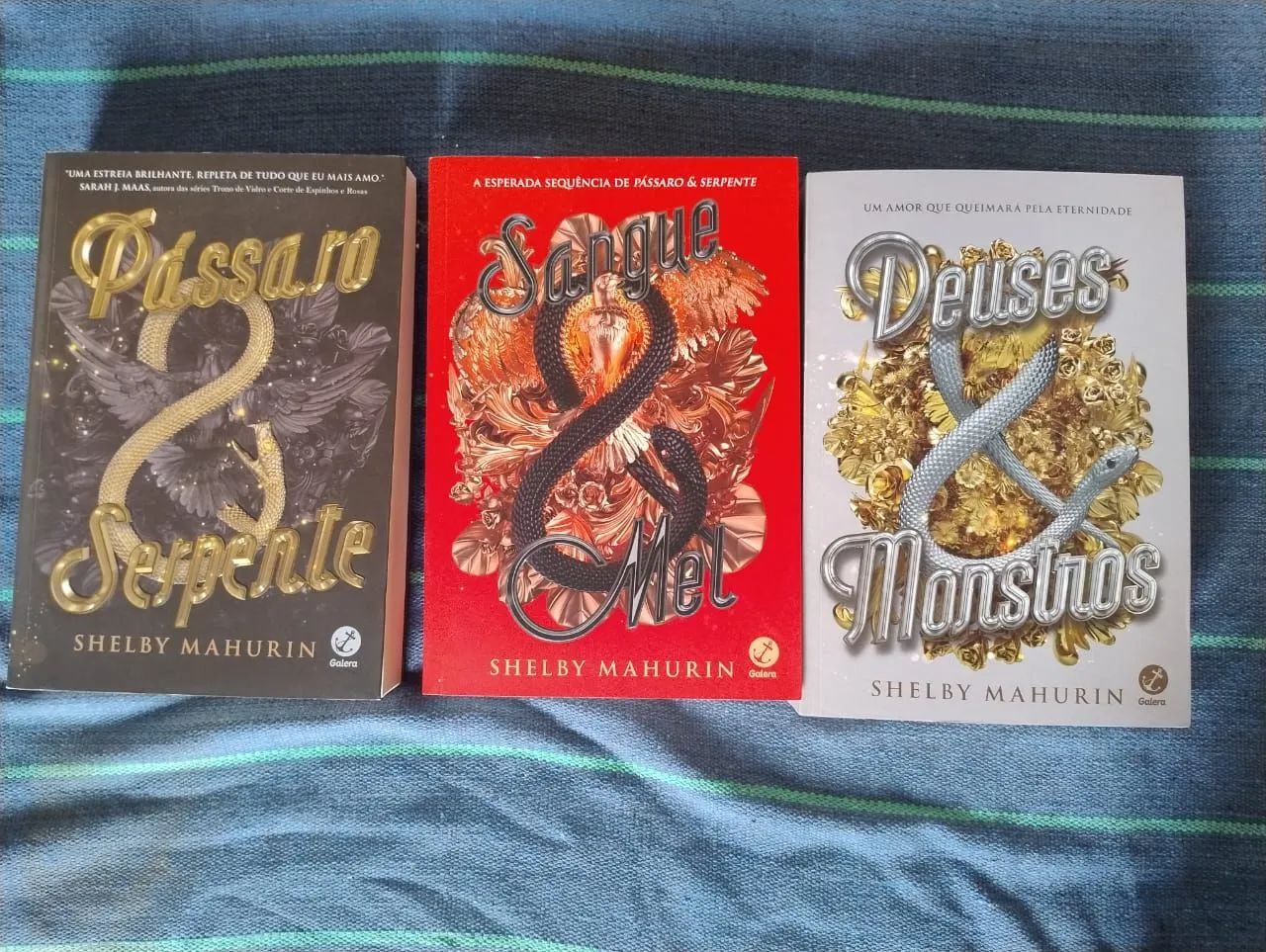 Box Trilogia Serpente e Monstro - Shelby Mahurin - Foto 3