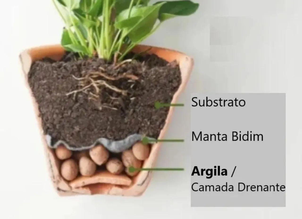 Argila Expandida Cinexpan Saco 50 litros - Foto 3