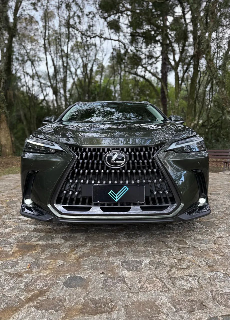 Lexus NX-350h Luxury 2.5 16V Aut. (hybrid), foto 16 de 20