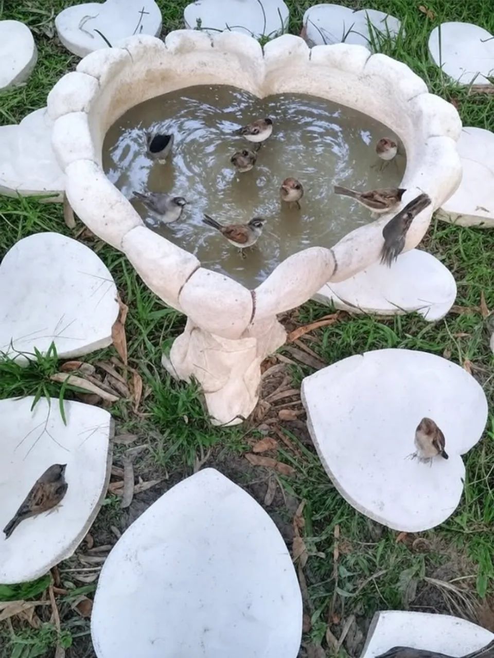 Fonte de Água em Formato de Coração