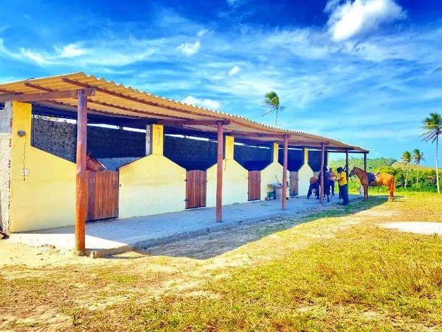 Fazenda em Indiaroba com 163 Tarefas