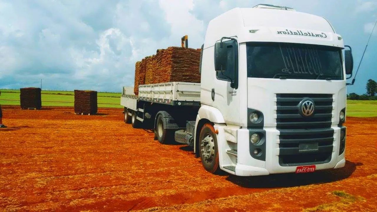 Grama Do Produtor - Foto 2