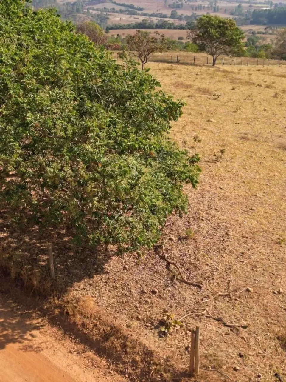 Chácara à Venda, 20.000m2 Aceito Parcelamento, Consulte Condições
