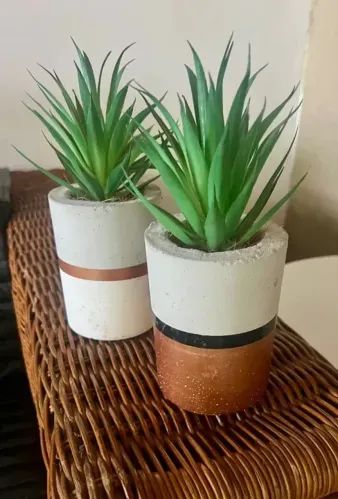 2 jogos de plantas (4 no total)